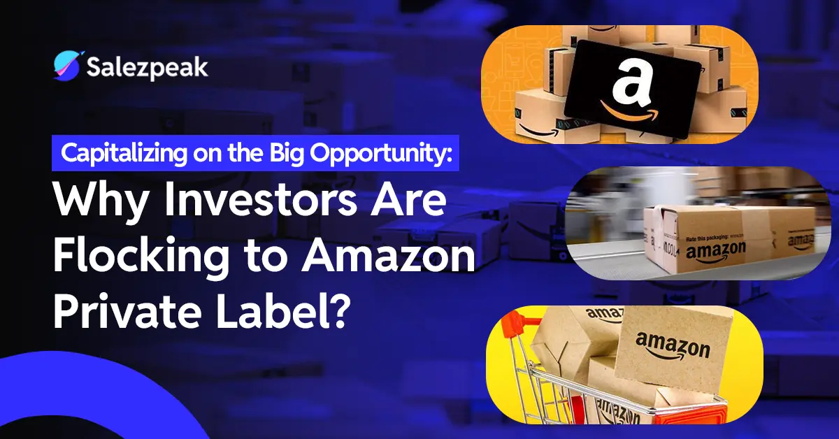 Capitalizing on the Big Opportunity: Why Investors Are Flocking to Amazon Private Label?